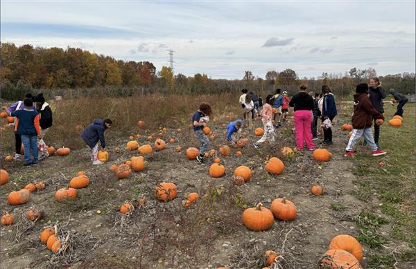 Students in pumpkin patch